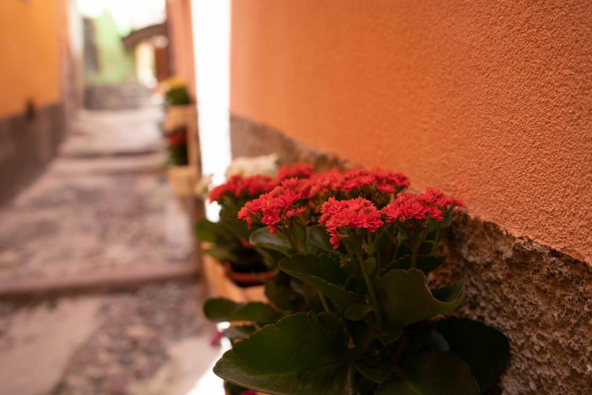 Casa Mirto Hotel Bosa Bagian luar foto